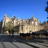 Seville Cathedral