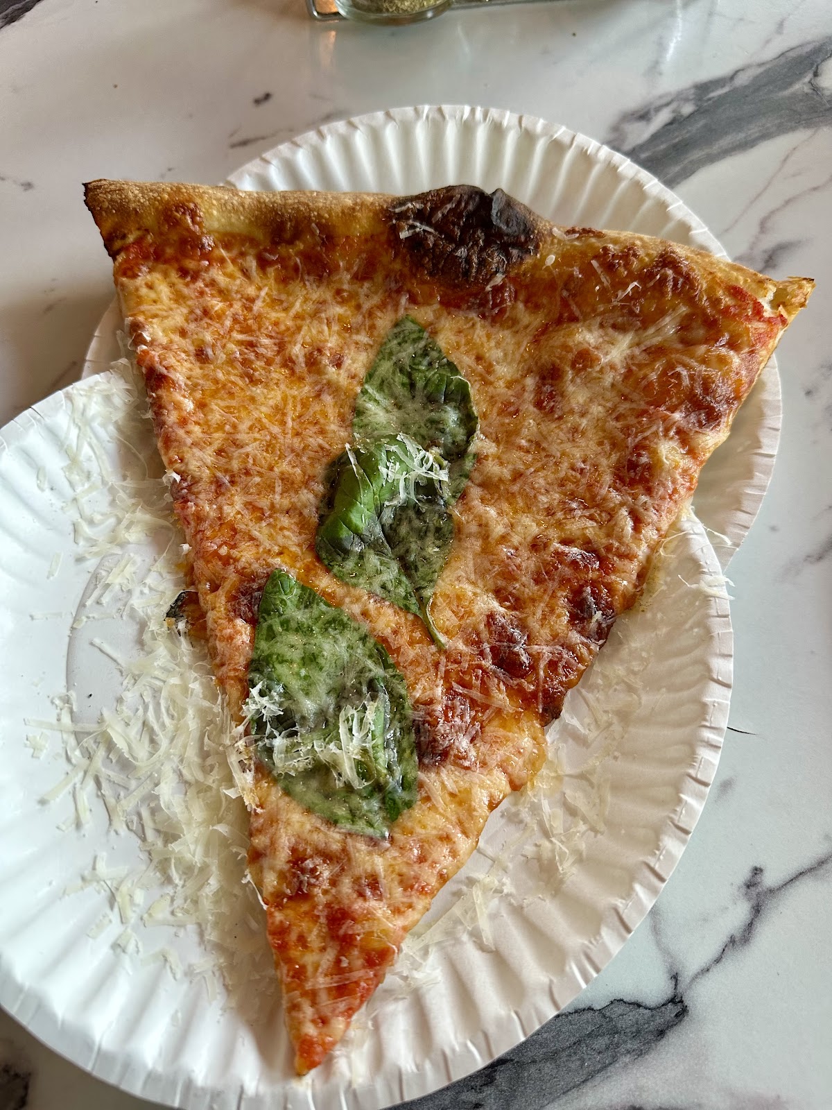 Eleventh Street Pizza, photo 8