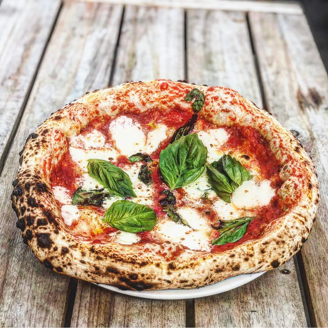 Cibo Urban Pizzeria, photo 3