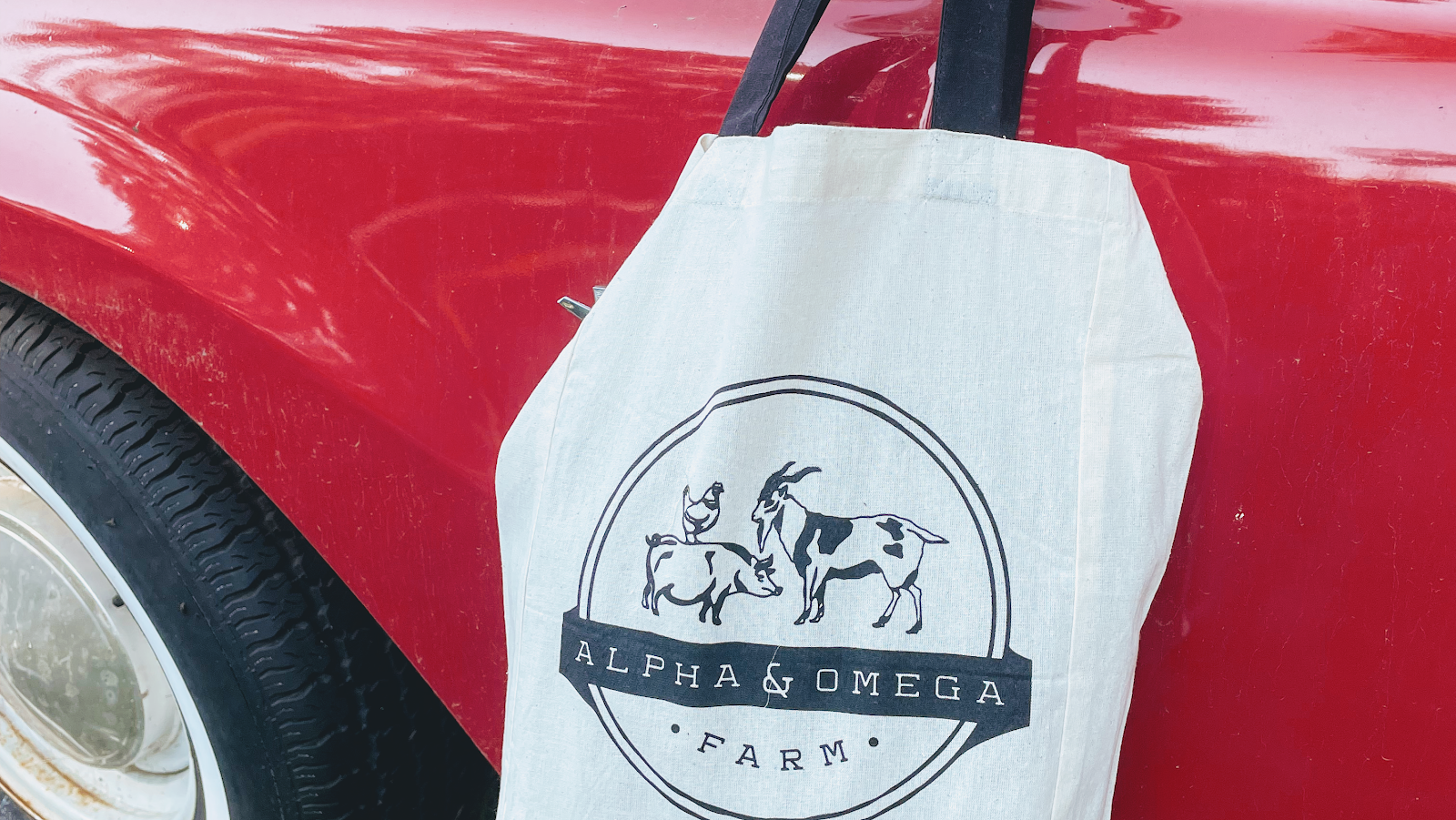 Alpha & Omega Farm, photo 8