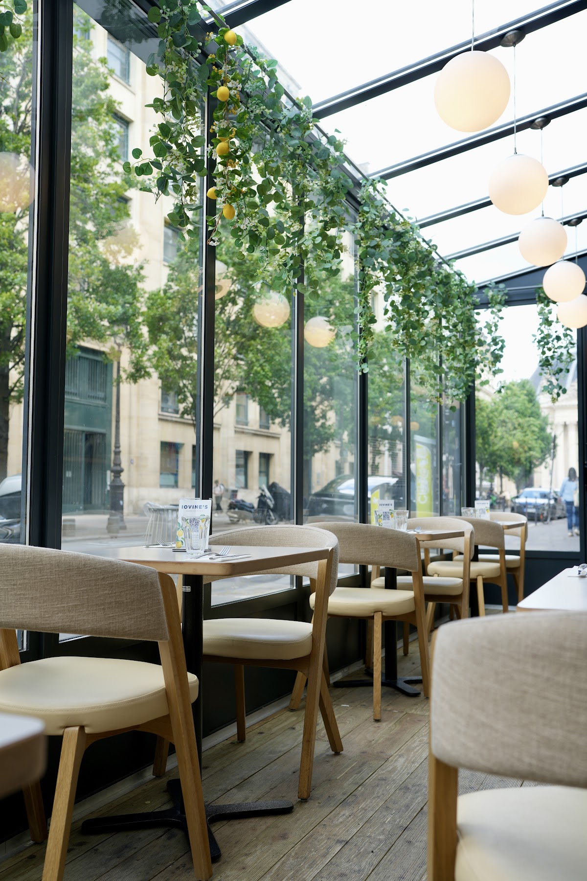 Iovine’s, photo 7
