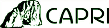 Pizzeria Capri, photo 6