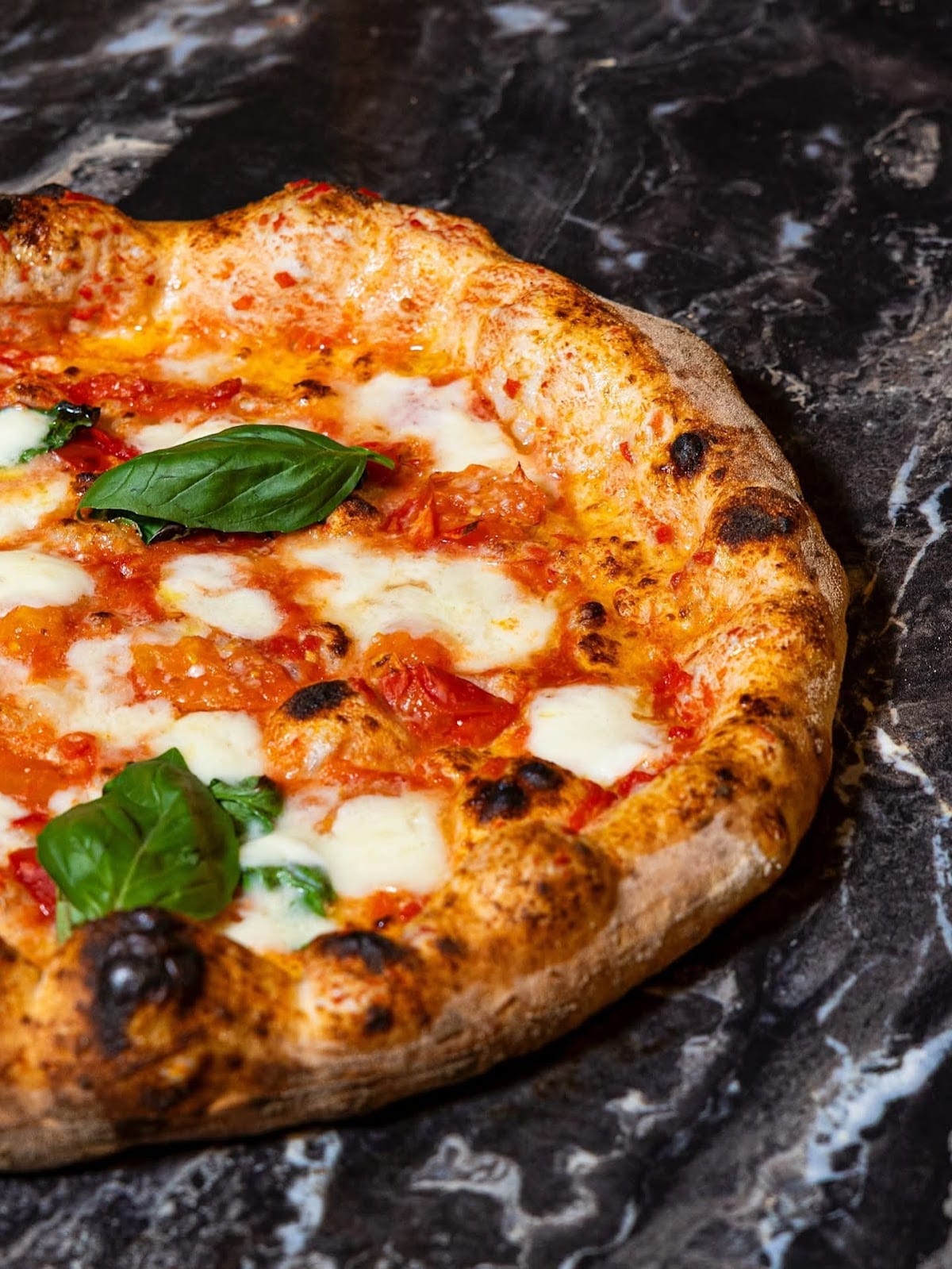 Giotto Pizzeria Bistrot — photo 49