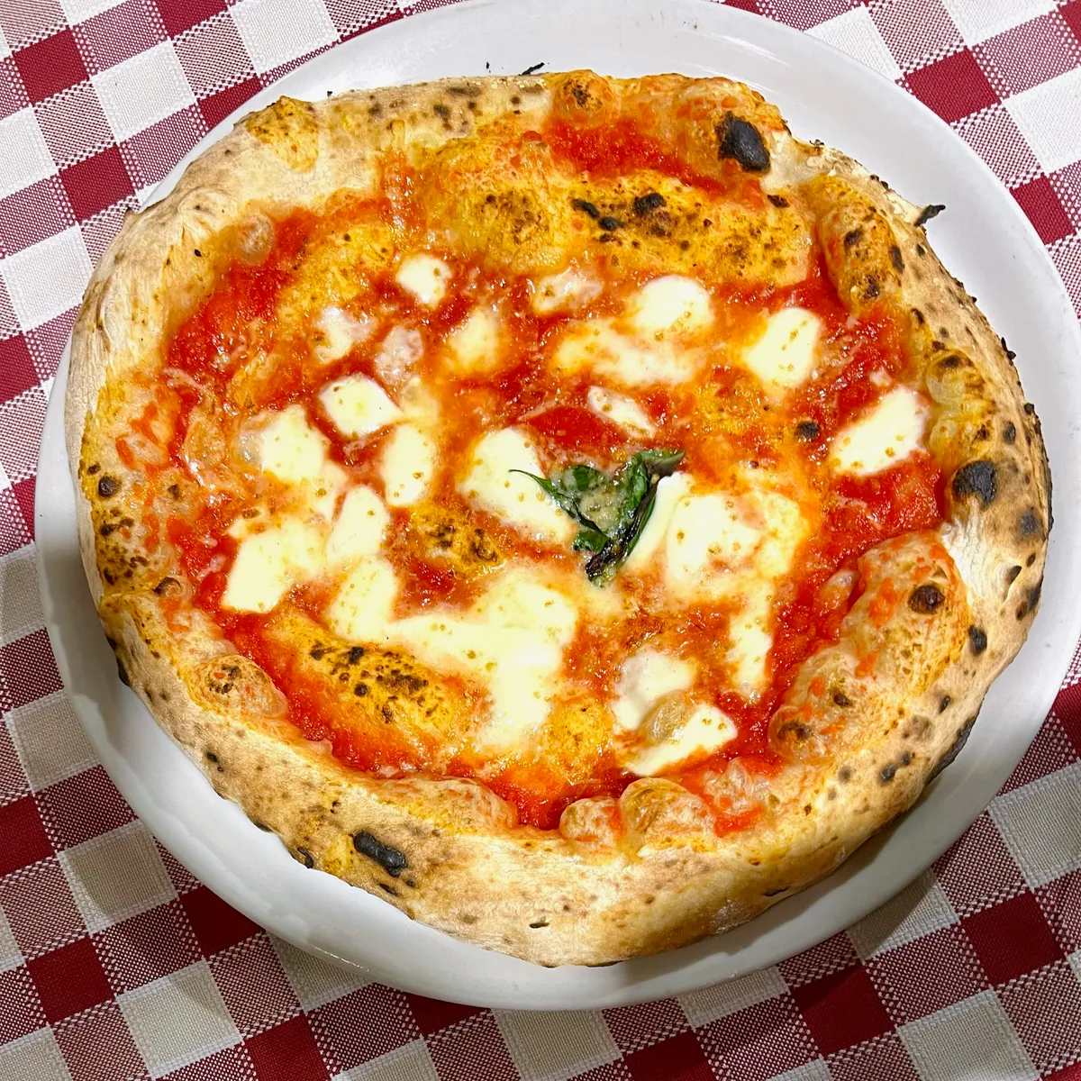 Pizzeria Speranzella, photo 6