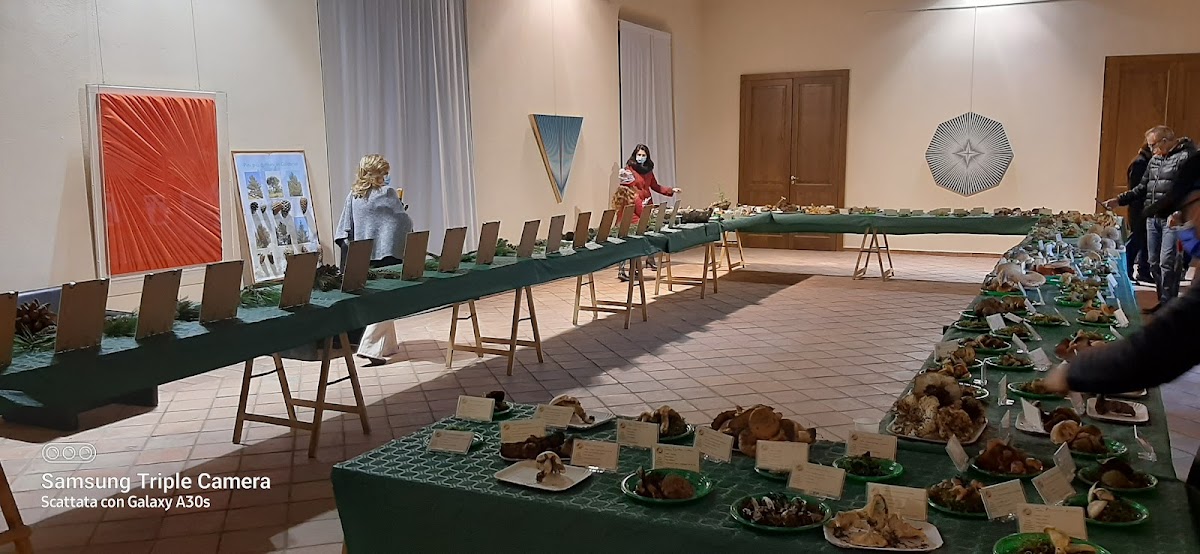 Vadolì, photo 5