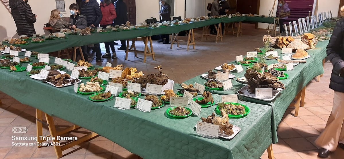 Vadolì, photo 6