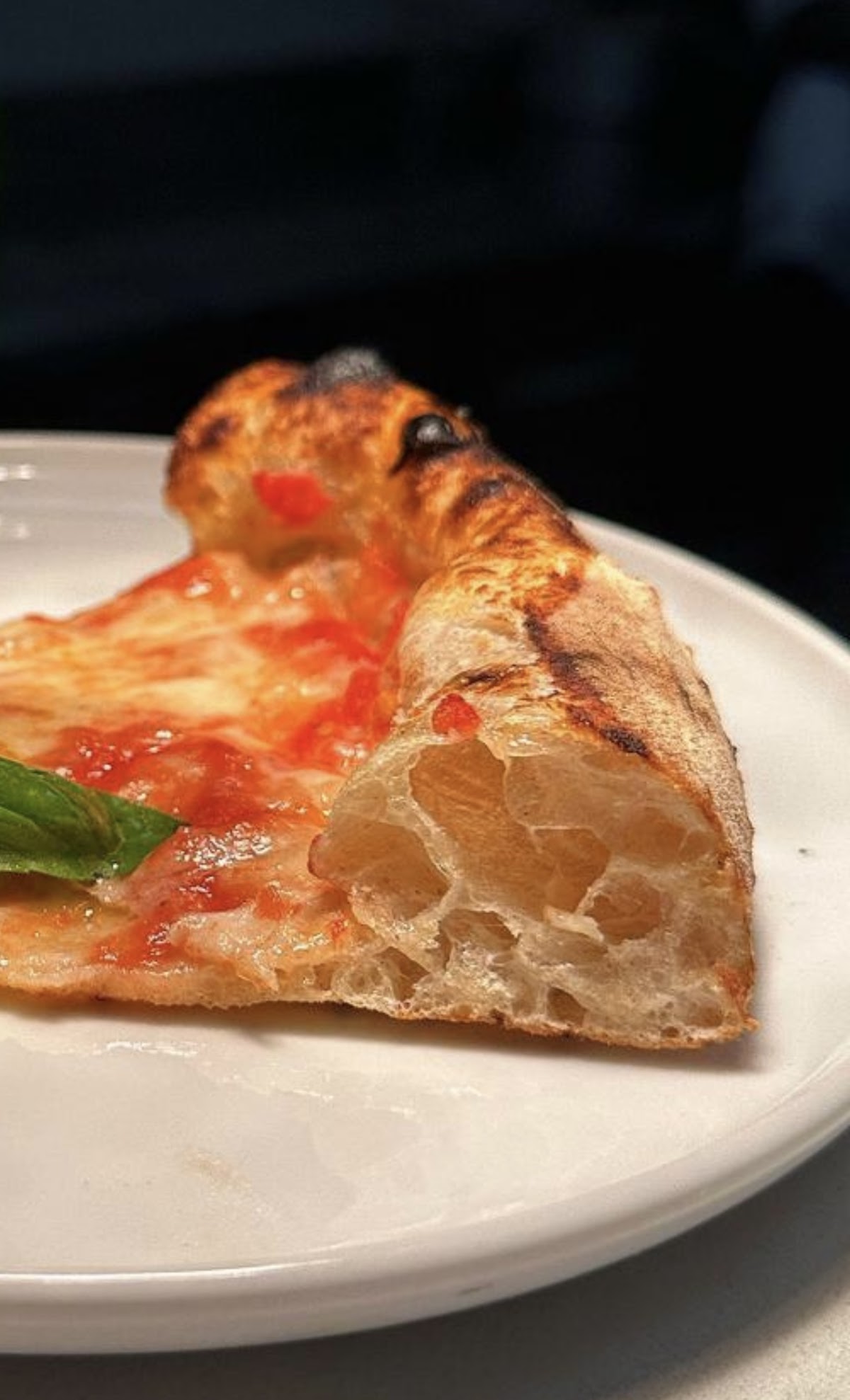 Lombardi Pizzeria, photo 5