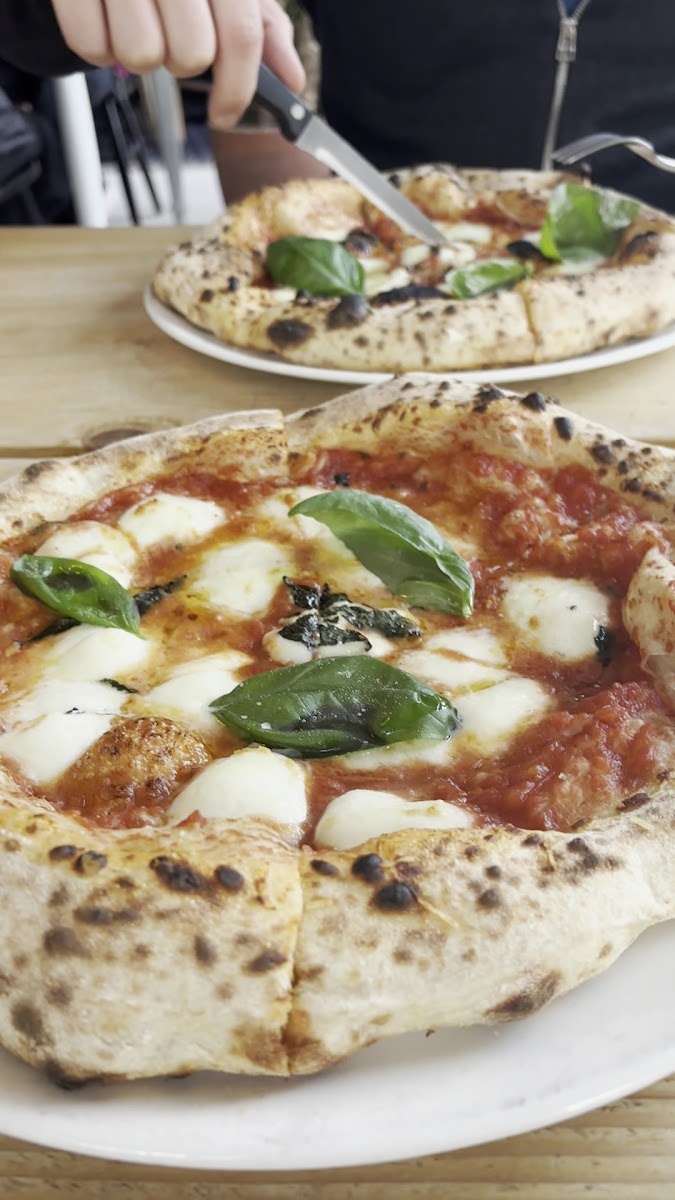 MOZZ., photo 2