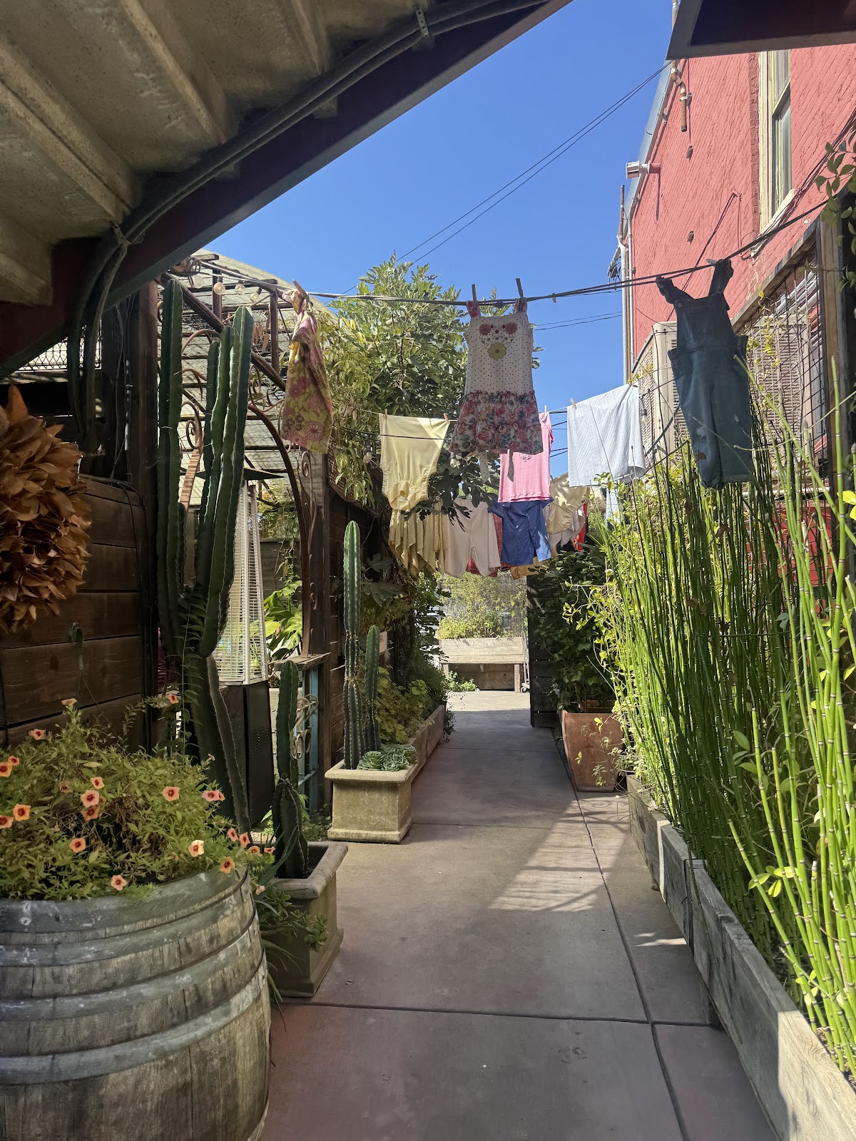 Diavola, photo 9