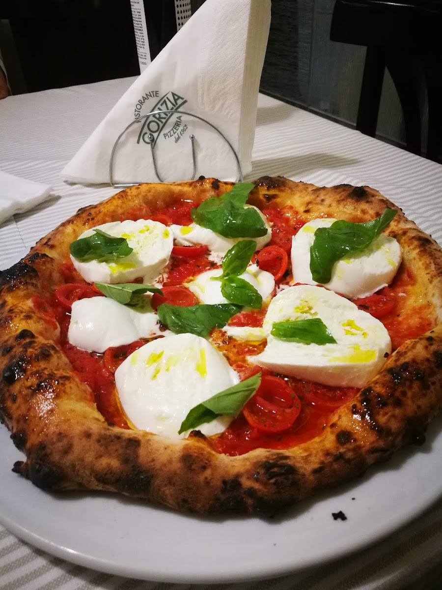 Gorizia 1962, photo 2