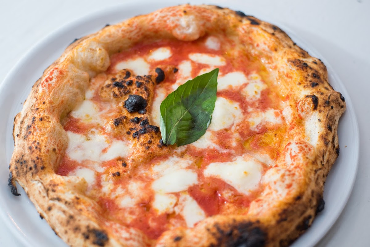 Marghe 1889, photo 4