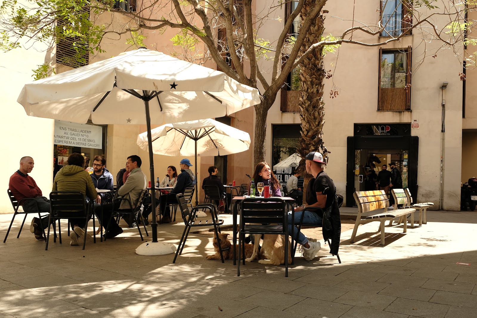 NAP Antic Neapolitan Authentic Pizza