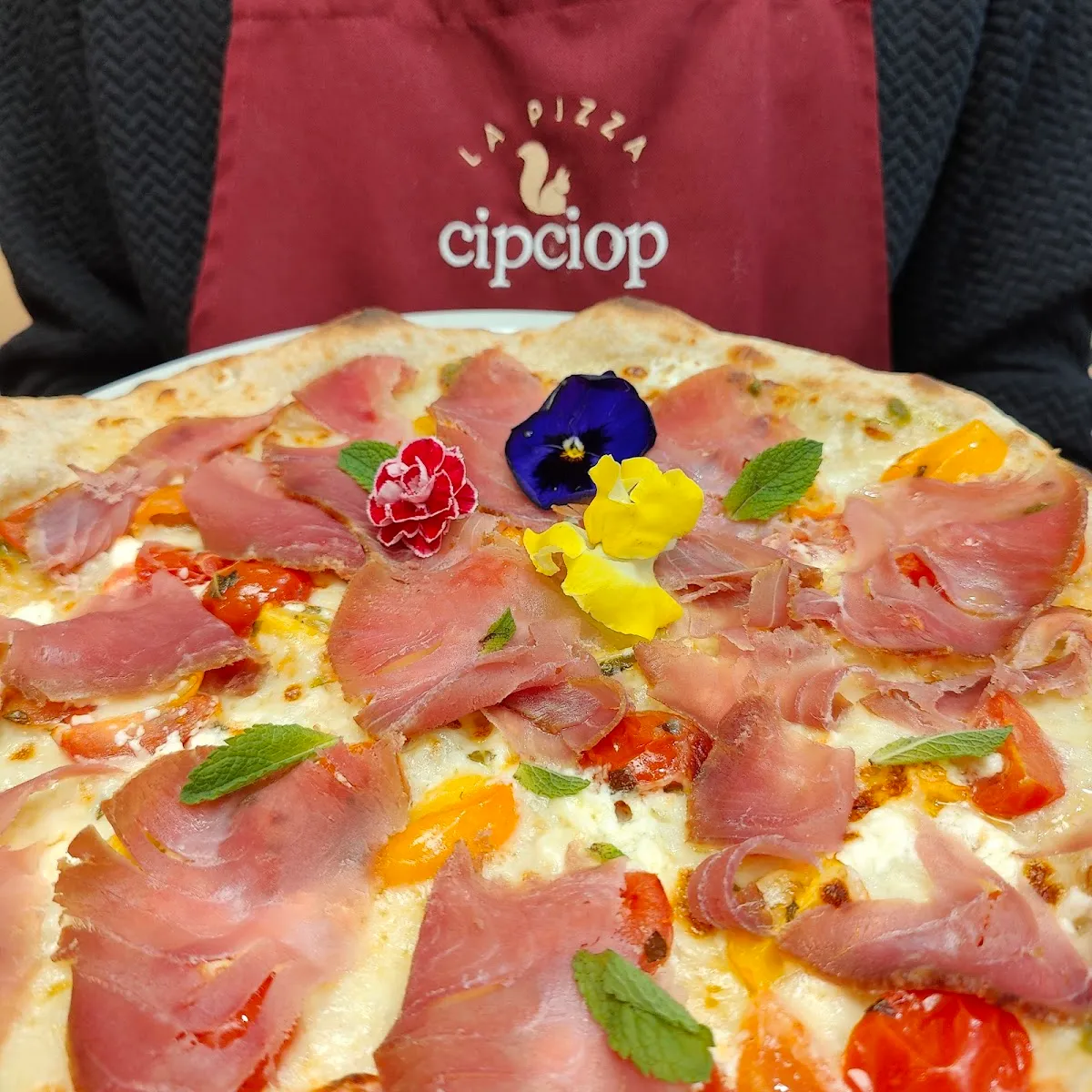 CipCiop, photo 2