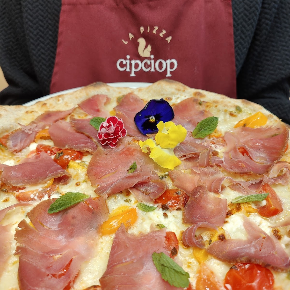 CipCiop, photo 2