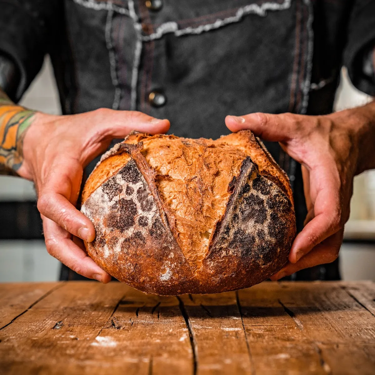 Spoto Bakery – Voglia di Pane, photo 4