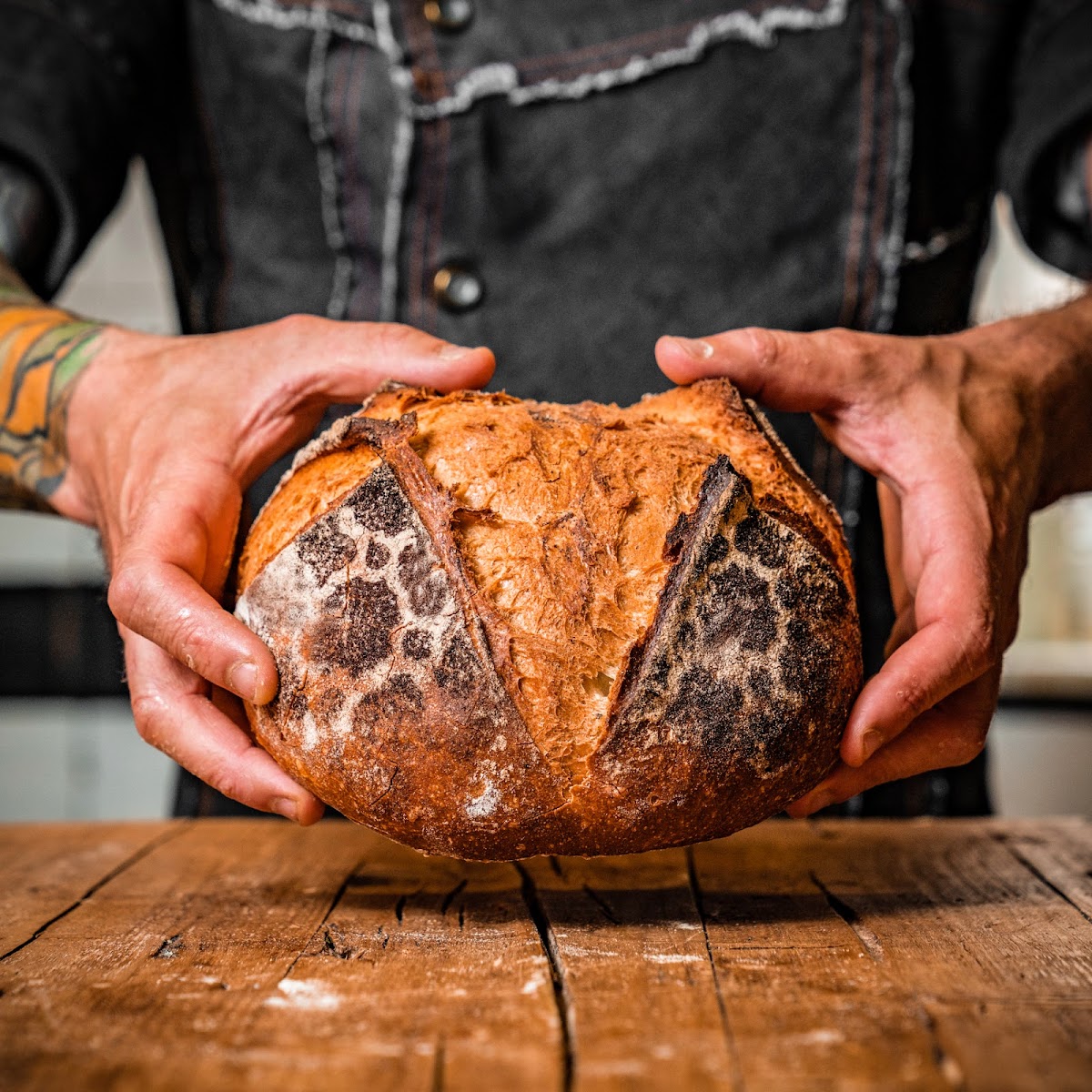 Spoto Bakery – Voglia di Pane, photo 4