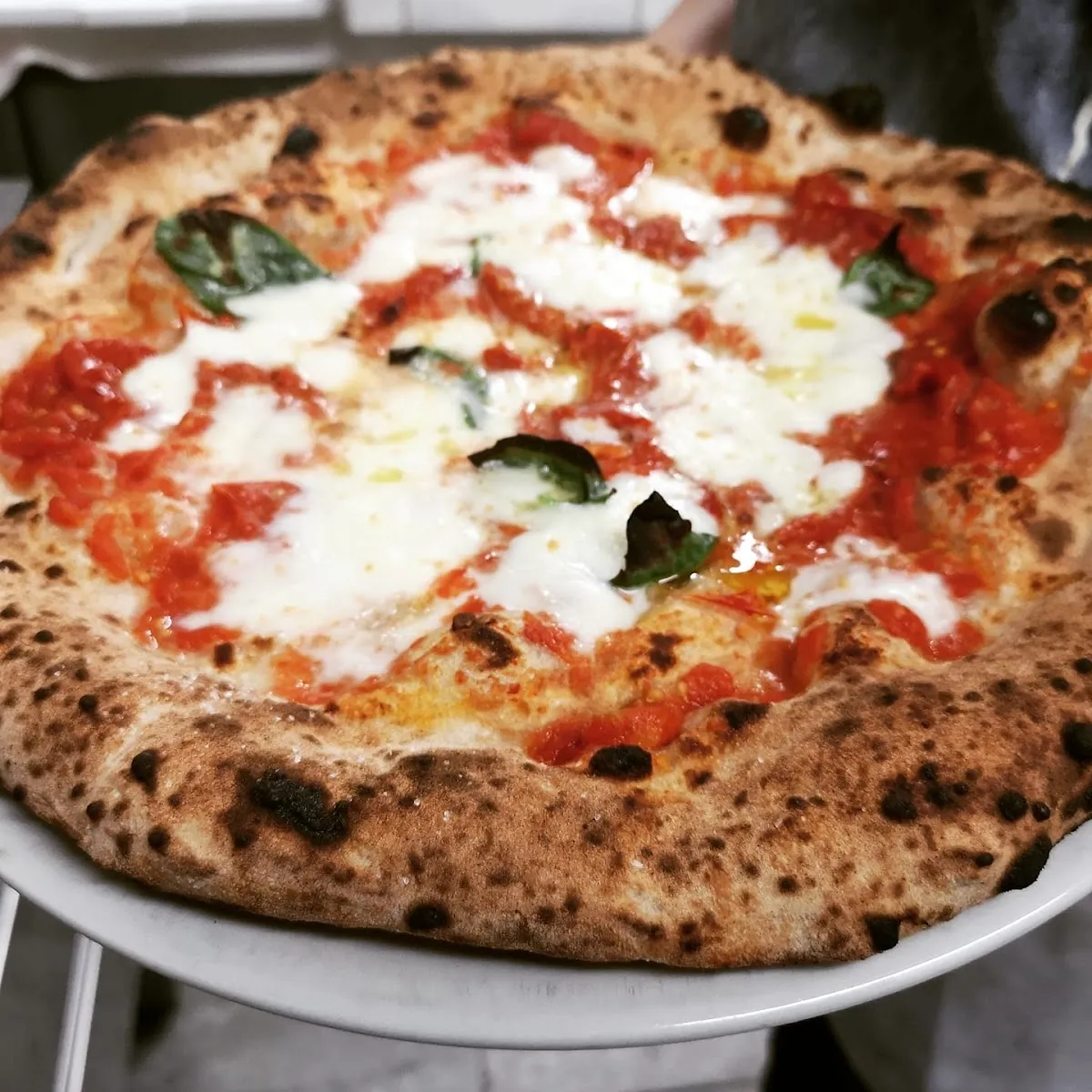 Il Segreto di Pulcinella, photo 3