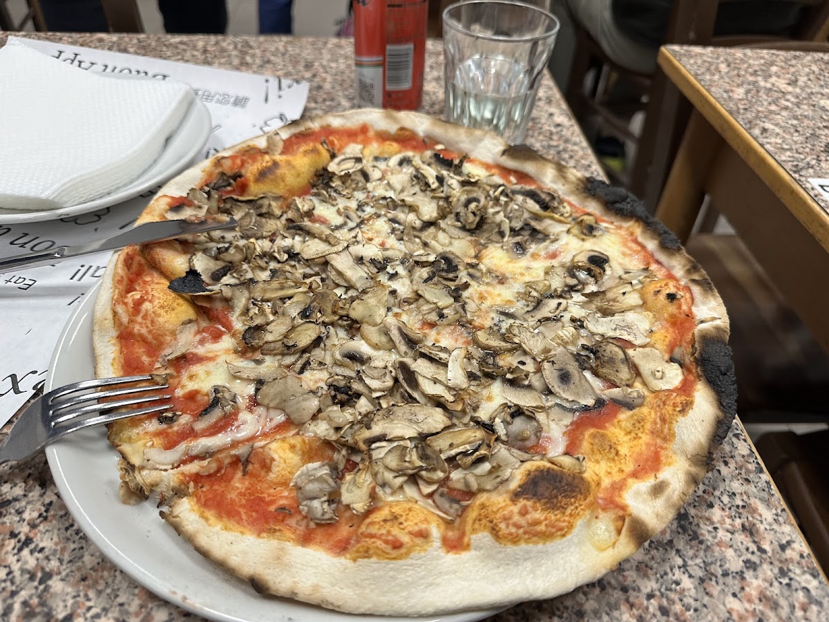 Nuovo Mondo, photo 8