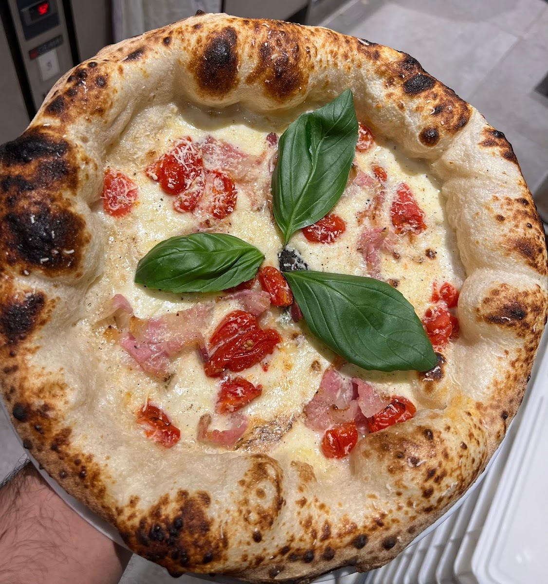Cocciuto, photo 4