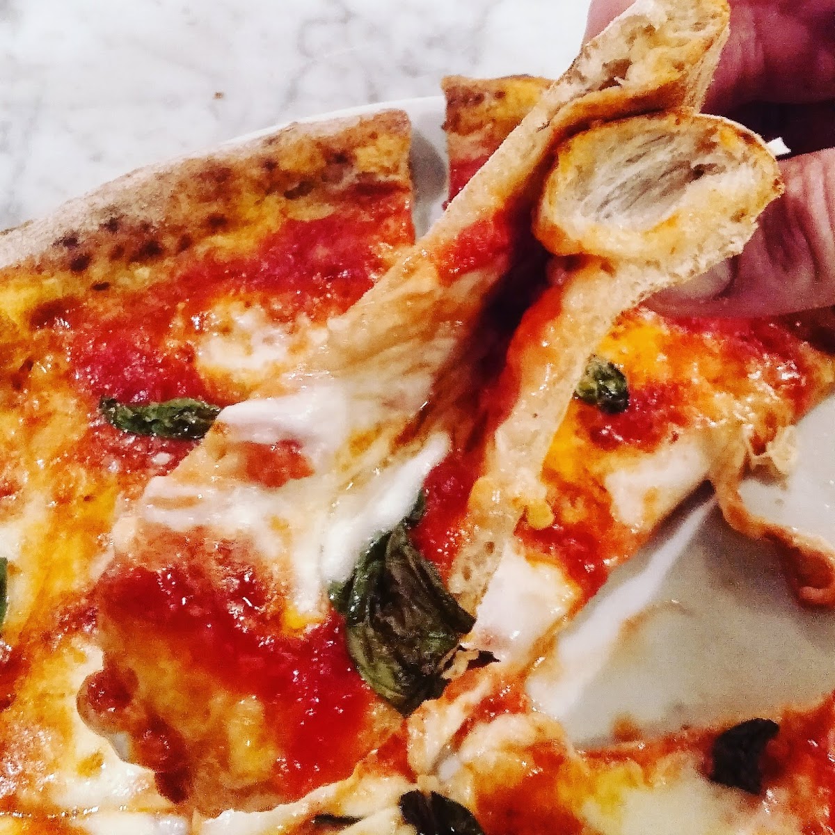 Pizzeria Dai Viola, photo 4