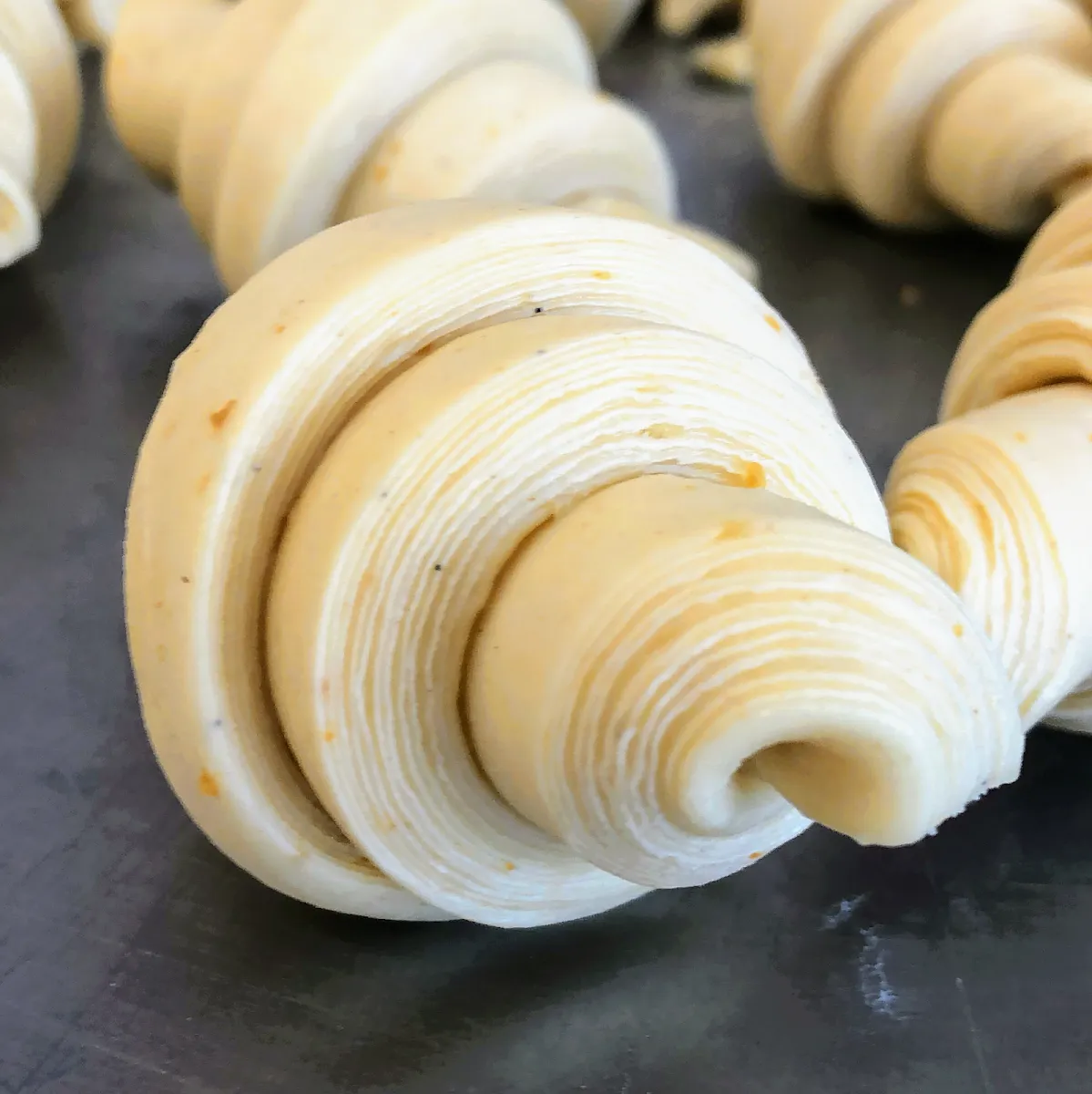 Saporè Pizza Bakery, photo 4