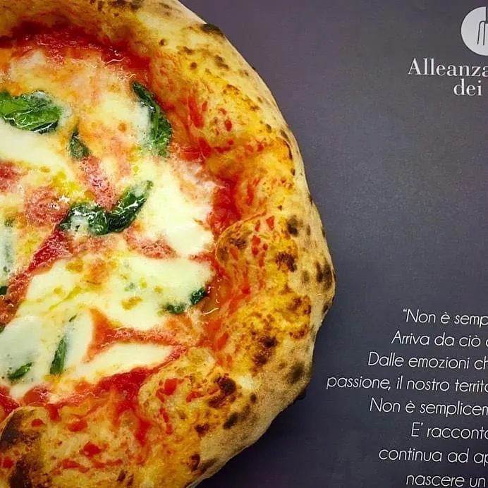 Millennium Pizzeria, photo 4