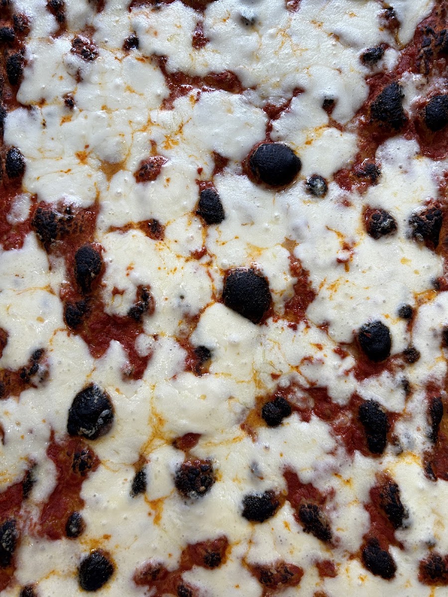Pantera – Pizza Rustica, photo 2