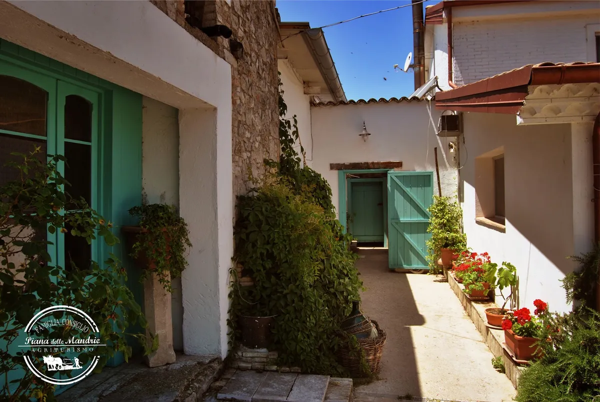 Agriturismo Piana della Mandrie, photo 3