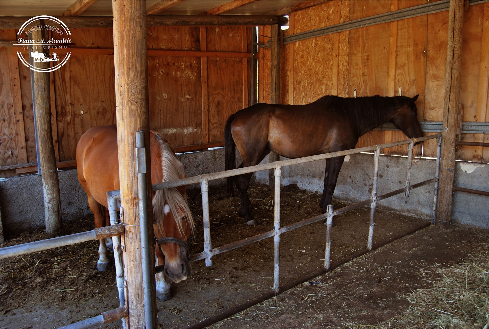 Agriturismo Piana della Mandrie, photo 4