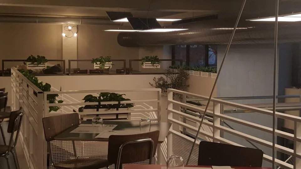 Pizzeria Guglielmo & Enrico Vuolo Verona, photo 11