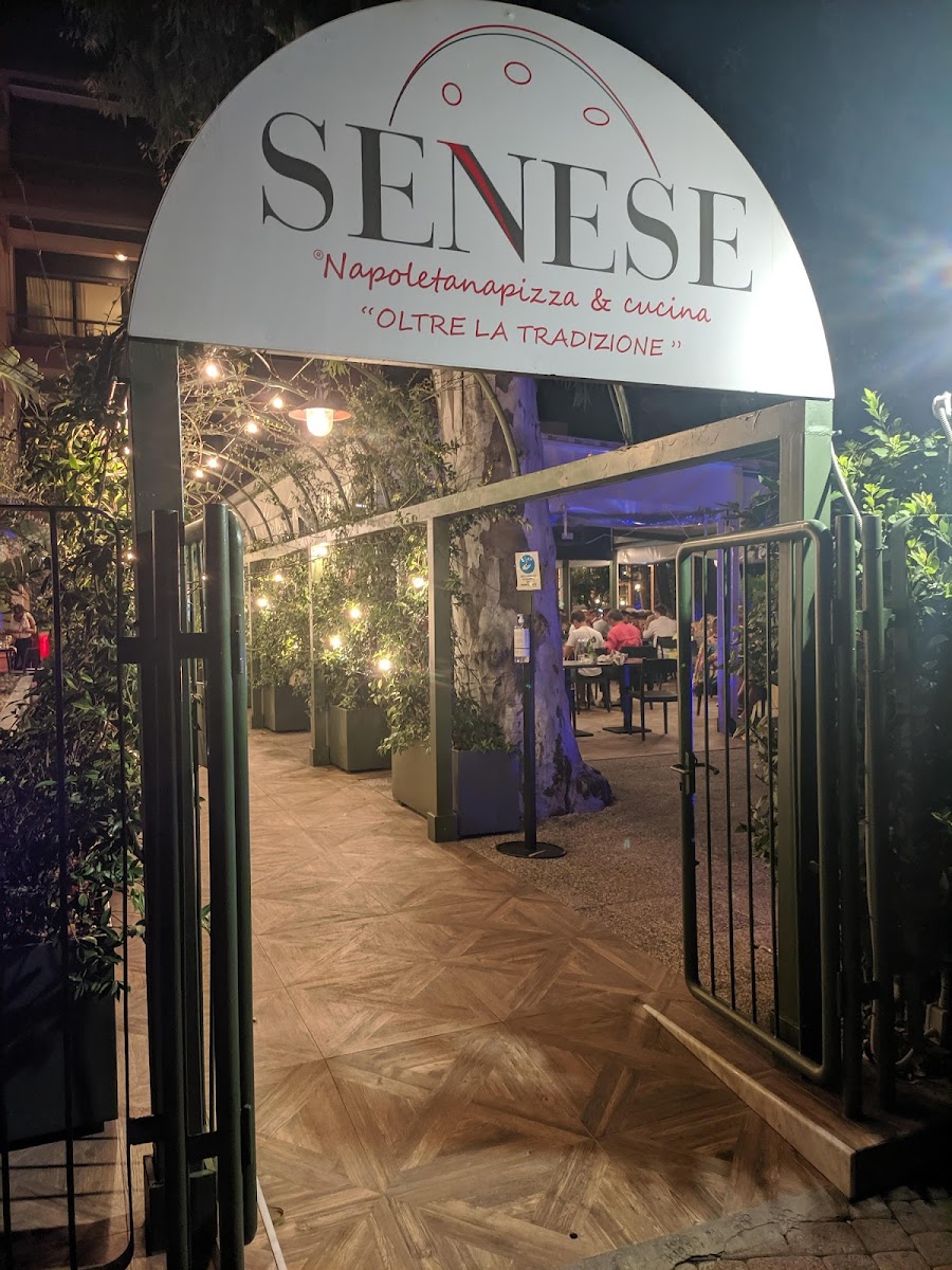 Senese