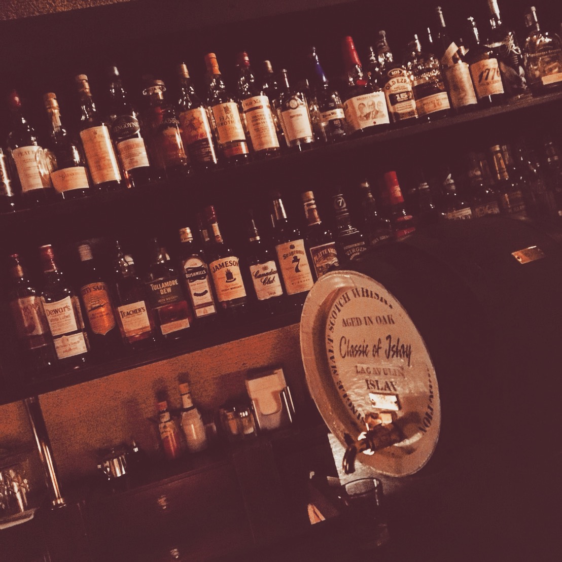 Birdland, photo 5