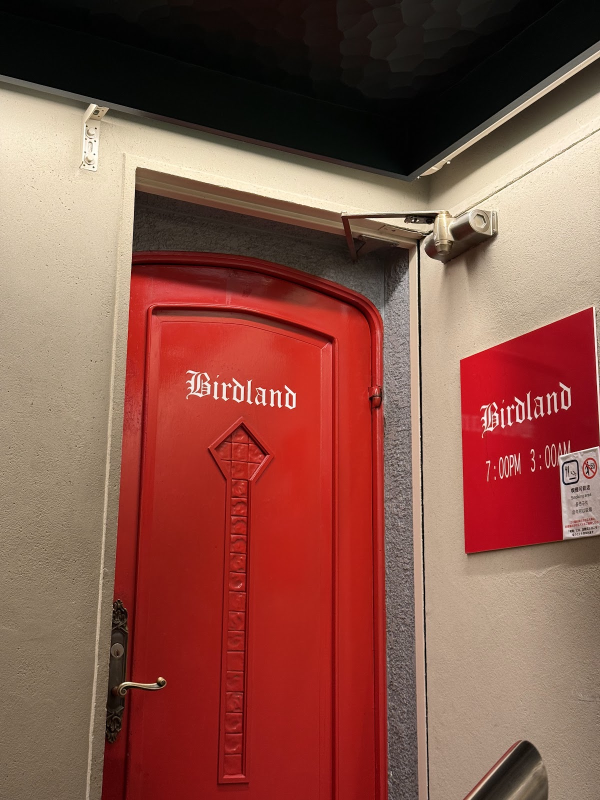 Birdland, photo 8