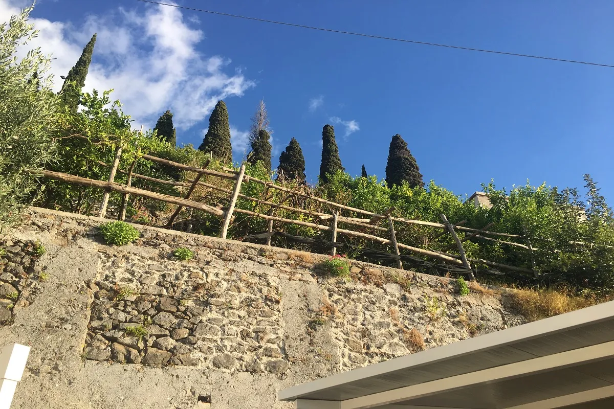 Enosteria Lipen, photo 8