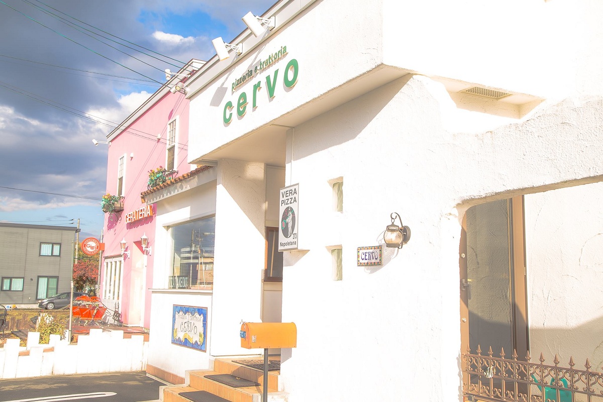CERVO, photo 10
