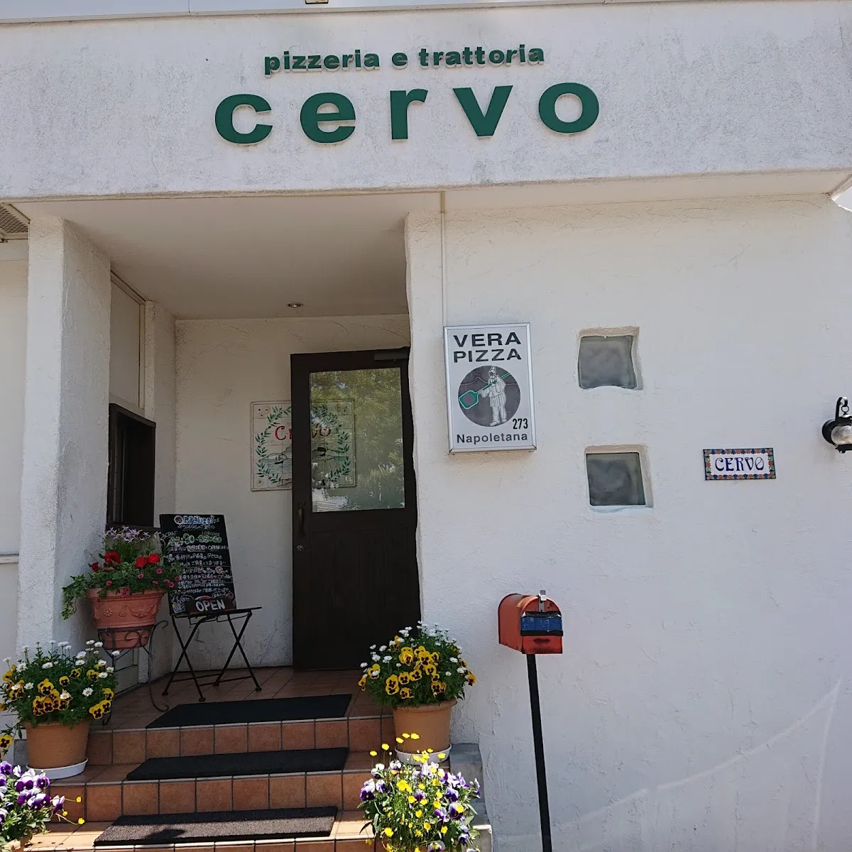 CERVO, photo 4