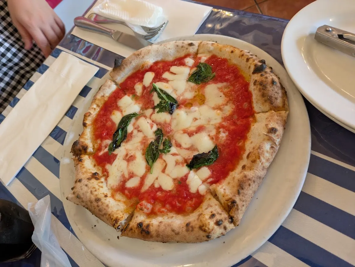 CERVO, photo 7