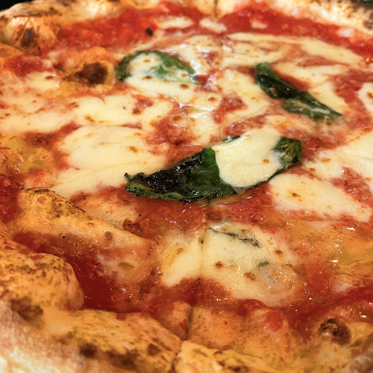 Pizzeria Azzurri, photo 4