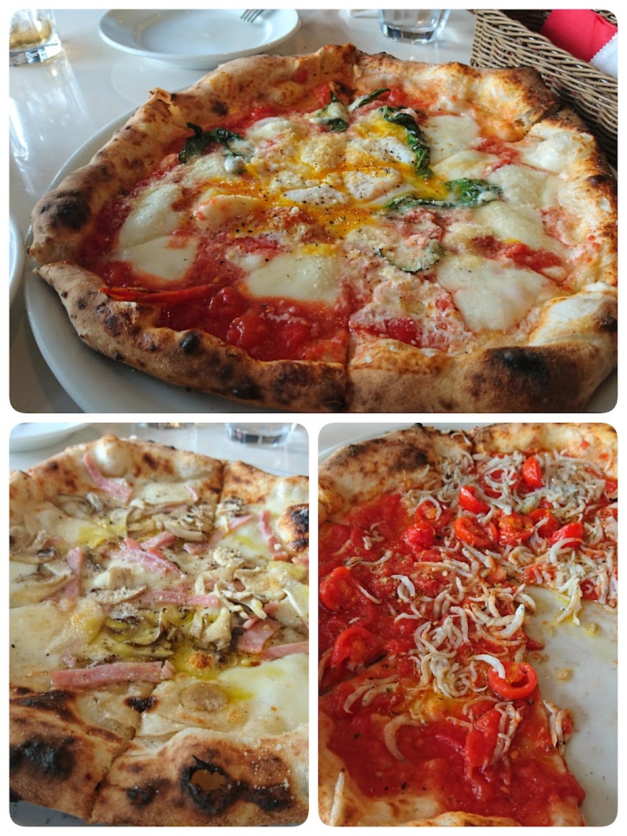 Pizzeria Azzurri, photo 5