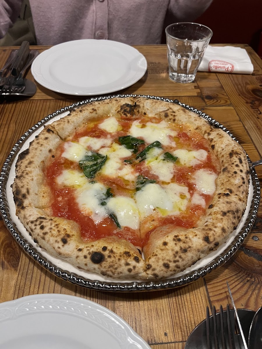 Panello, photo 4
