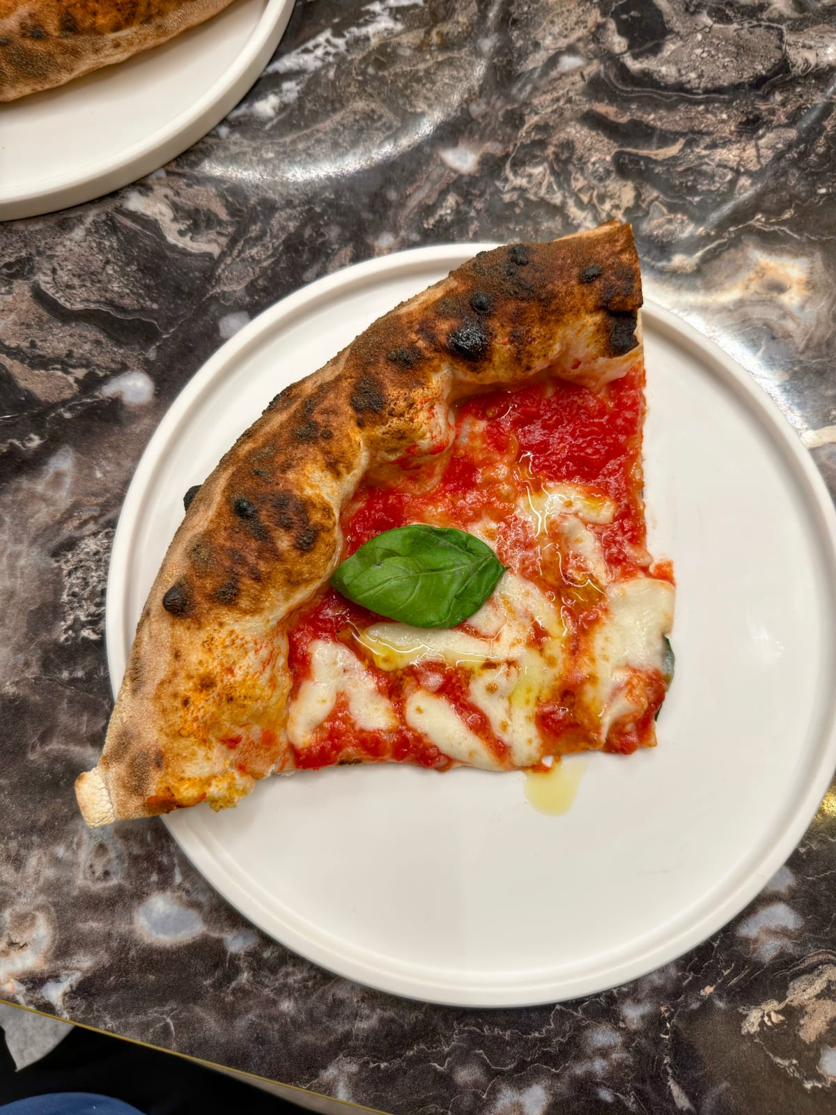 Giotto Pizzeria Bistrot — photo 12