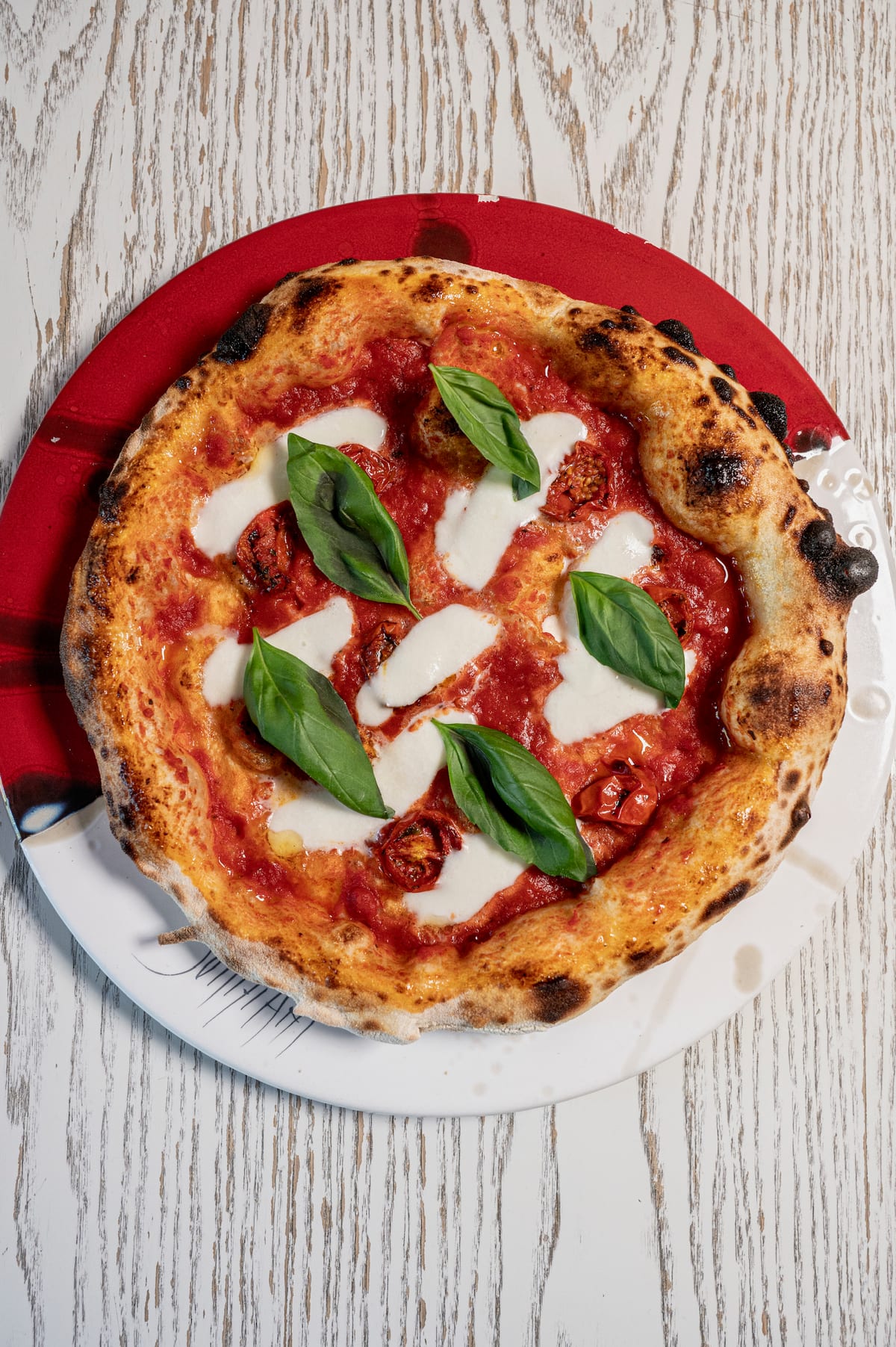 Giotto Pizzeria Bistrot — photo 38