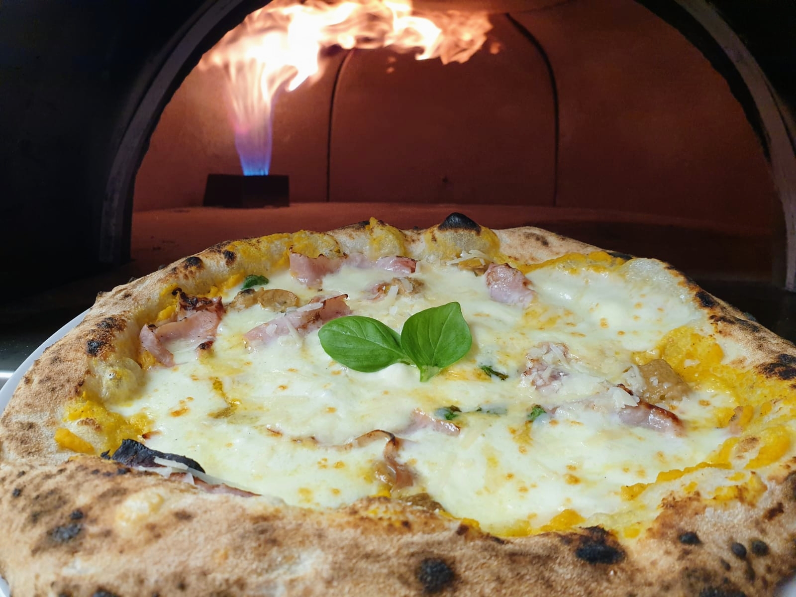 Pizzamore Restaurante Italiano, photo 4