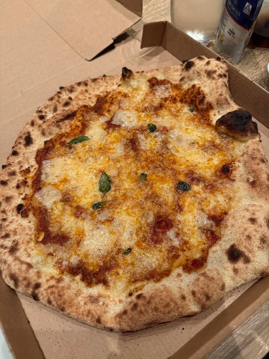 Napoletana, photo 3
