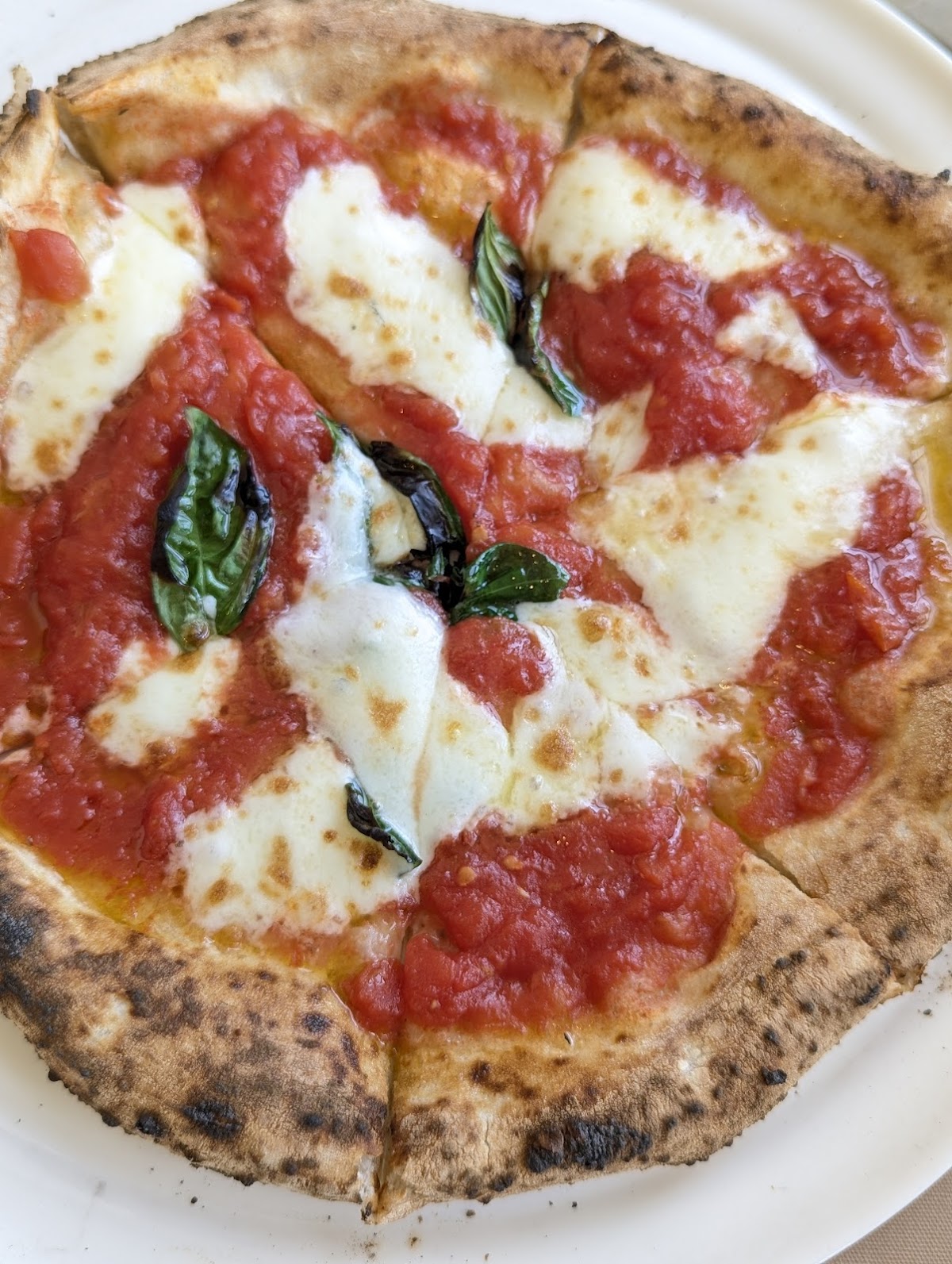 Pizzeria Lucci, photo 7