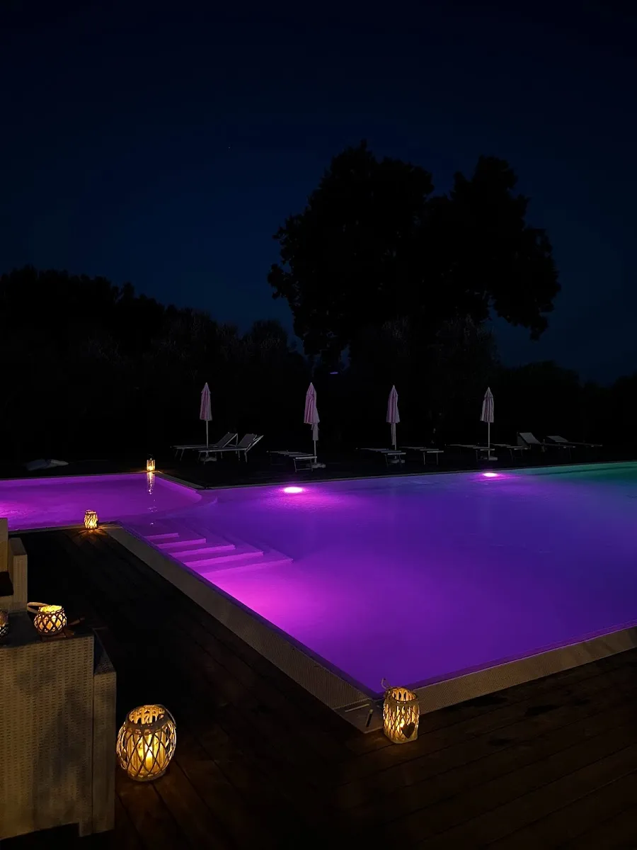Tenuta Paino, photo 4