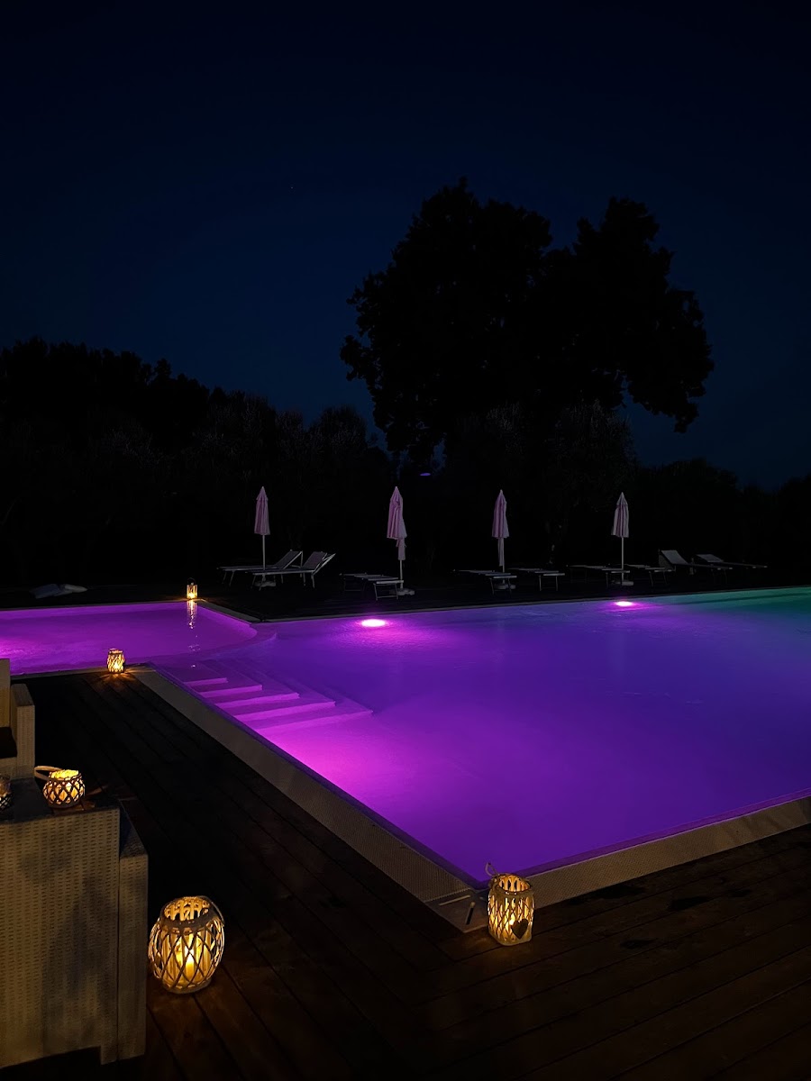 Tenuta Paino, photo 4