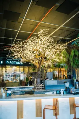Nastura