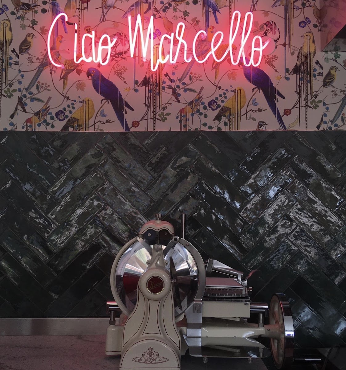 Ciao Marcello, photo 4