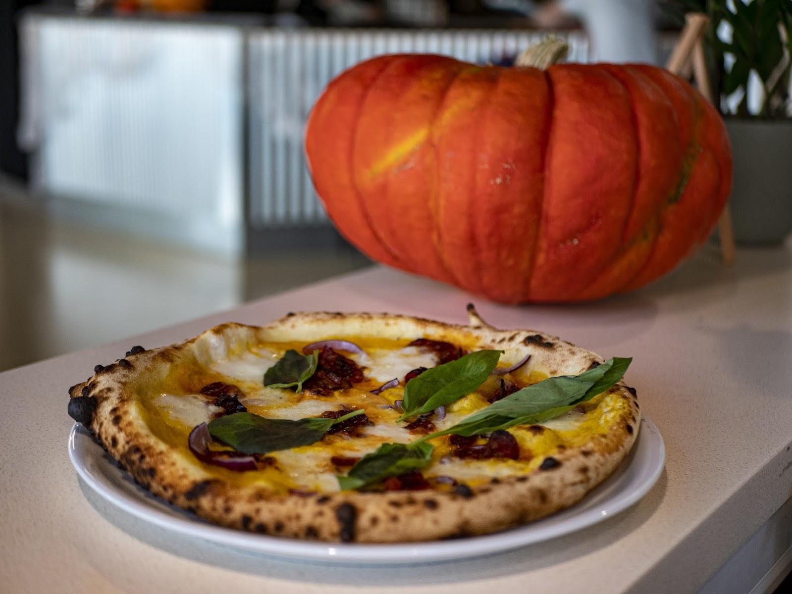 Pizzou, photo 2